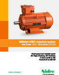 Brochure IMfinity® ATEX induction motors
