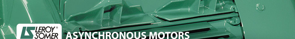 Leroy-Somer Induction motors