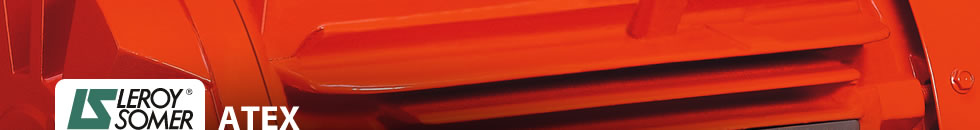 Leroy-Somer ATEX