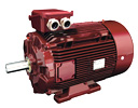 Moteur LSRPM Dyneo