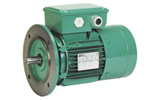 Moteur asynchrone frein FCR